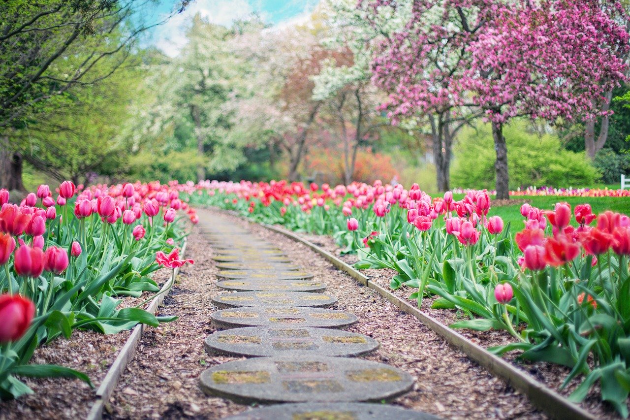 flower garden walkway