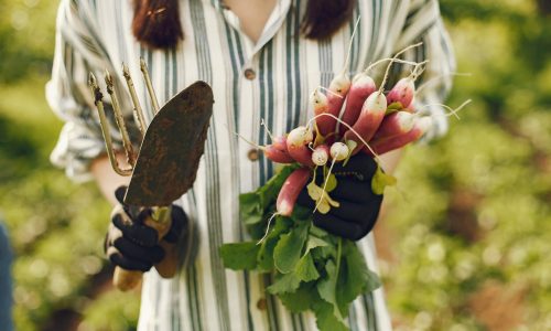 woman gardening