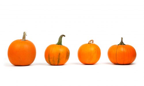 pumpkins